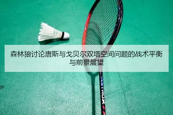 森林狼讨论唐斯与戈贝尔双塔空间问题的战术平衡与前景展望