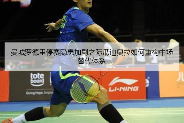 man-cheng-luo-de-li-ting-sai-yin-huan-jia-ju-zhi-ji-gua-di-ao-la-ru-he-zhong-gou-zhong-chang-ti-dai-ti-xi-2-611.jpg